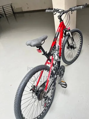 Professional Mountain Bike – ፕሮፌሽናል የተራራ ሳይክል