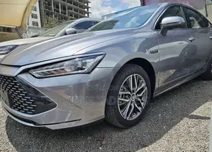 New BYD Qin Plus DM-i 2025 Gray