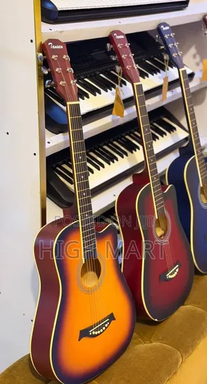 Box Guitar TANSEN New