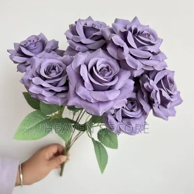 Rose Flows