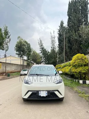 BYD Seagull 2024 Gray