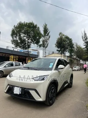 BYD Seagull 2024 Gray