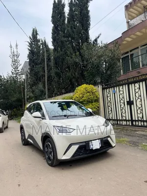 BYD Seagull 2024 Gray