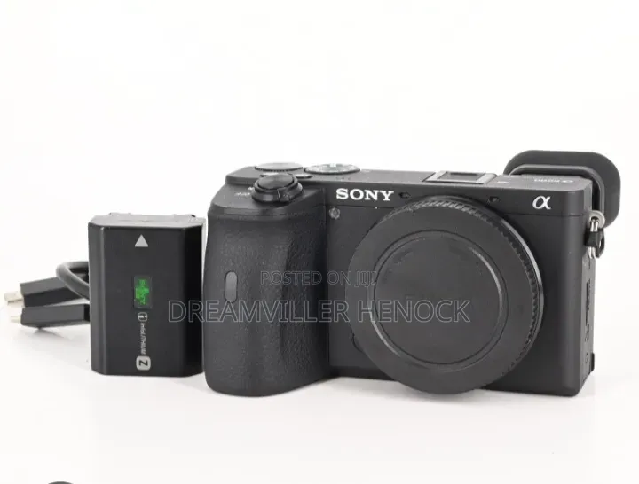 Sony A6600 Camera