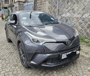 Toyota C-HR 2017 Gray