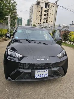 BYD Seagull 2024 Black