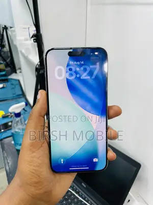 Apple iPhone 15 Pro Max 256 GB Silver