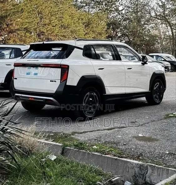 Dongfeng Nammi 01 2025 White