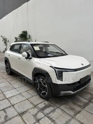 Dongfeng Nammi 01 2025 White