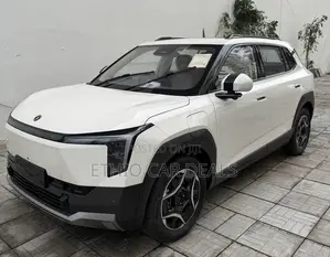 Dongfeng Nammi 01 2025 White