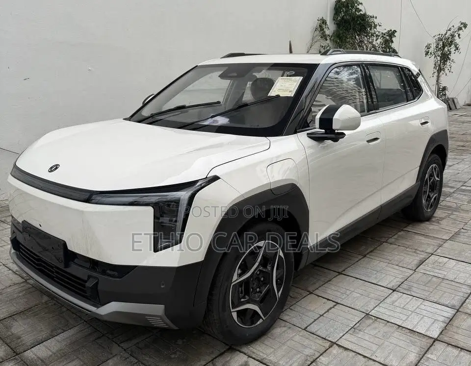 Dongfeng Nammi 01 2025 White