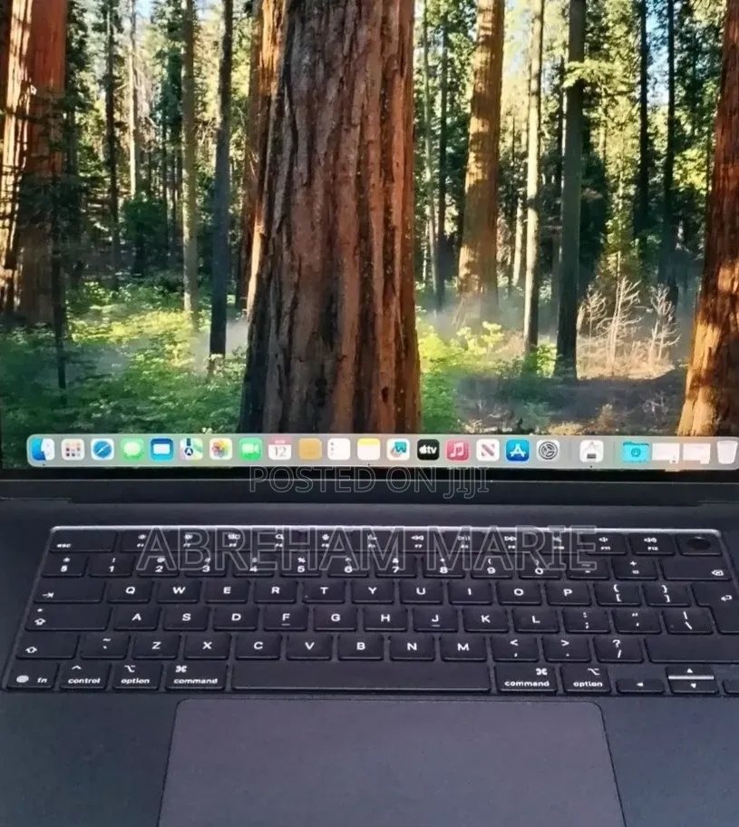New Laptop Apple MacBook Air 16GB Apple M4 SSD 256GB