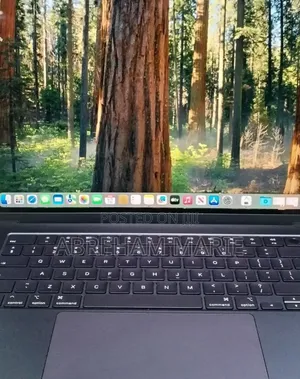 New Laptop Apple MacBook Air 16GB Apple M4 SSD 256GB