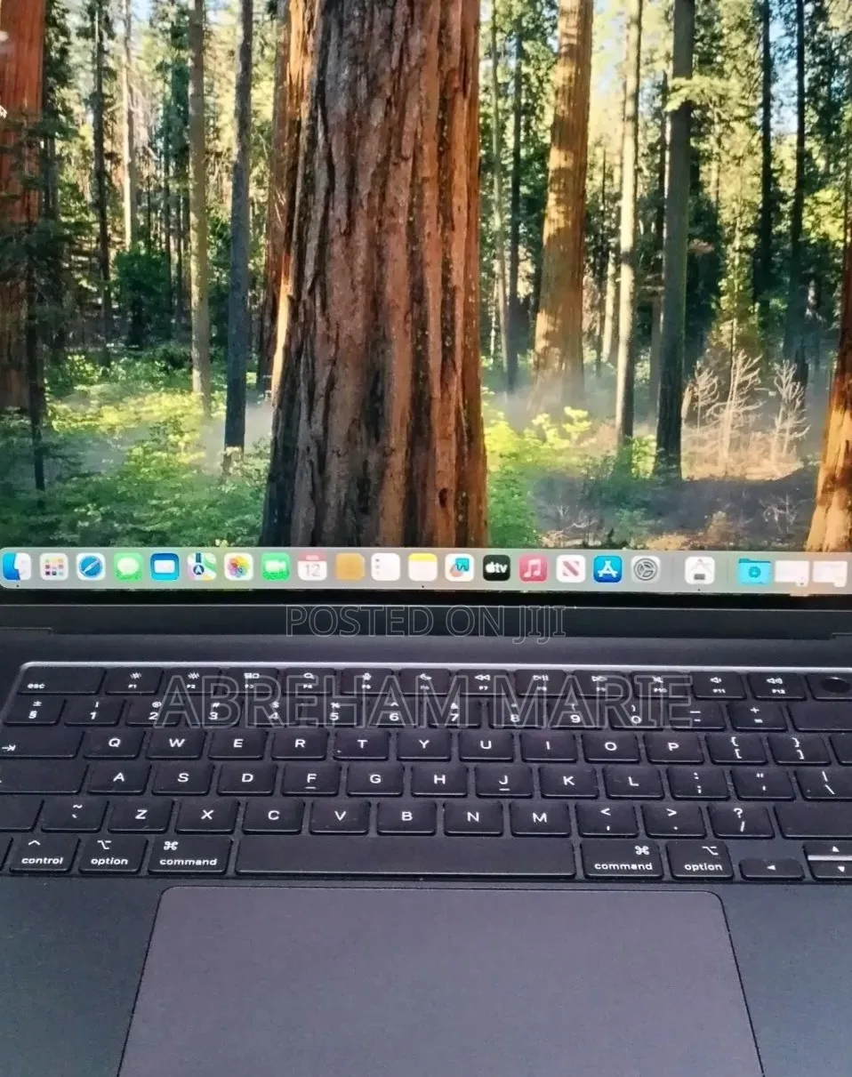 New Laptop Apple MacBook Air 16GB Apple M4 SSD 256GB