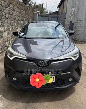 Toyota C-HR 2020 Gray
