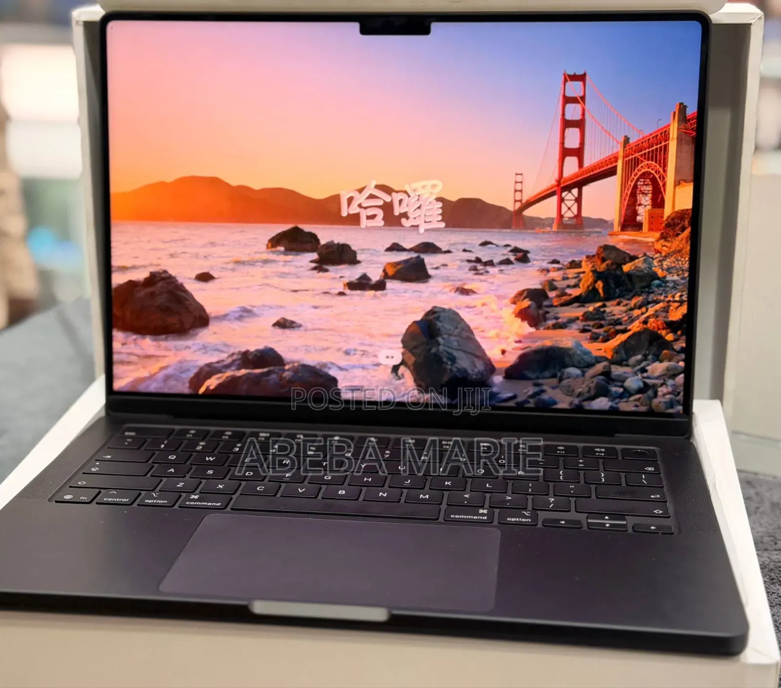 New Laptop Apple MacBook Pro 2025 M5 16GB Apple M5 Pro SSD 1T