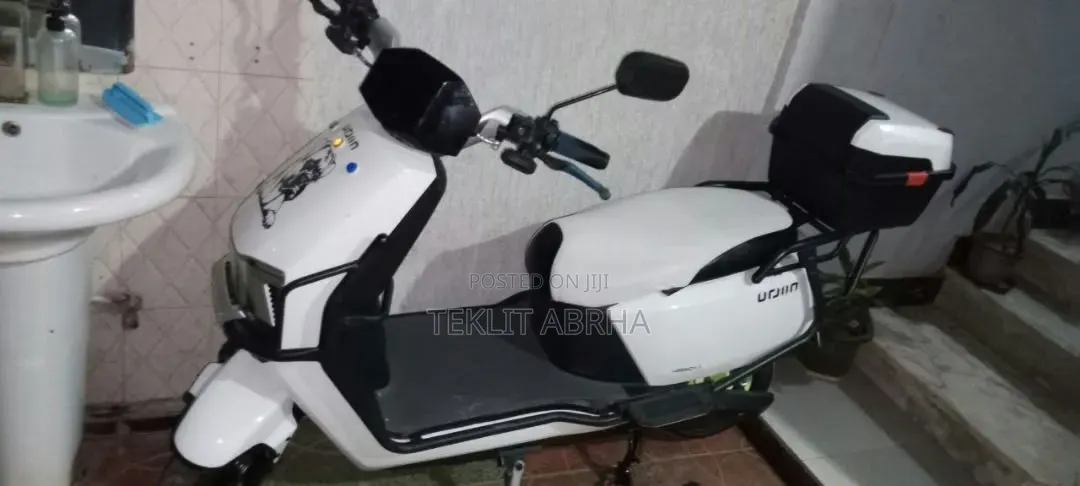 Honda 2024 White