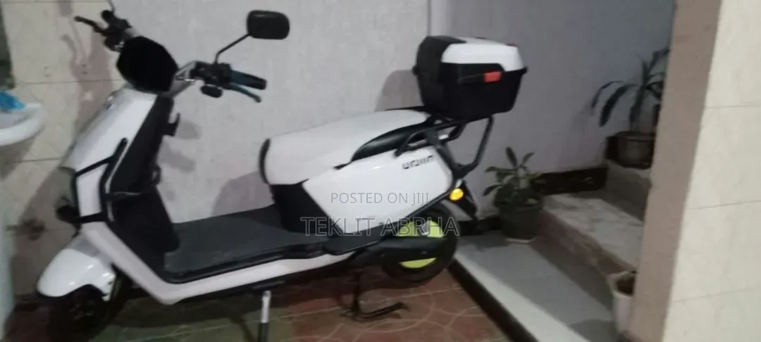 Honda 2024 White