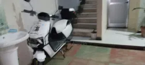 Honda 2024 White