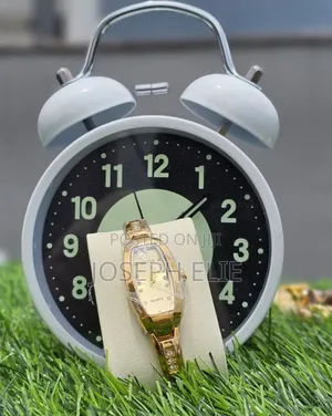 Lovely Wachest for Ladies