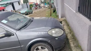 Lifan 520 2008 Brown