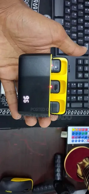Wireless Mic