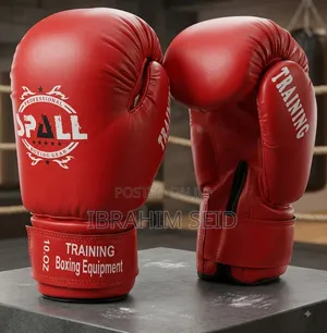 Boxing Gloves 14oz