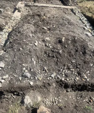 Land and Plot