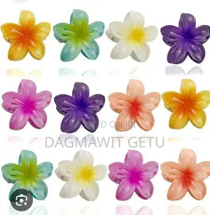 Unique Colorful Hair Clips.