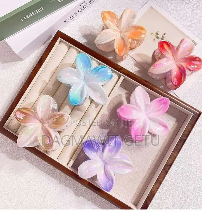 Unique Colorful Hair Clips.
