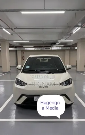 BYD Seagull 2024 White