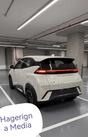 BYD Seagull 2024 White