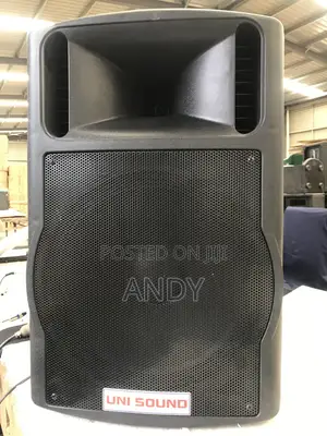 UNI Sound Professional PA/Dj Speaker