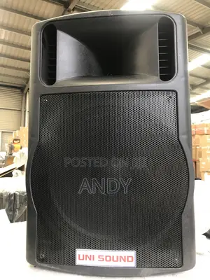 UNI Sound Professional PA/Dj Speaker