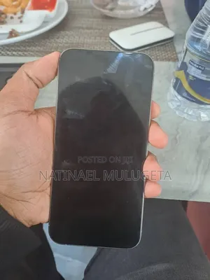 Apple iPhone 15 Pro Max 256 GB Silver