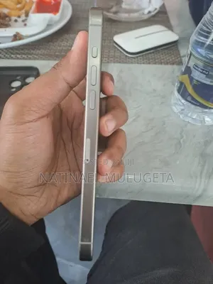 Apple iPhone 15 Pro Max 256 GB Silver