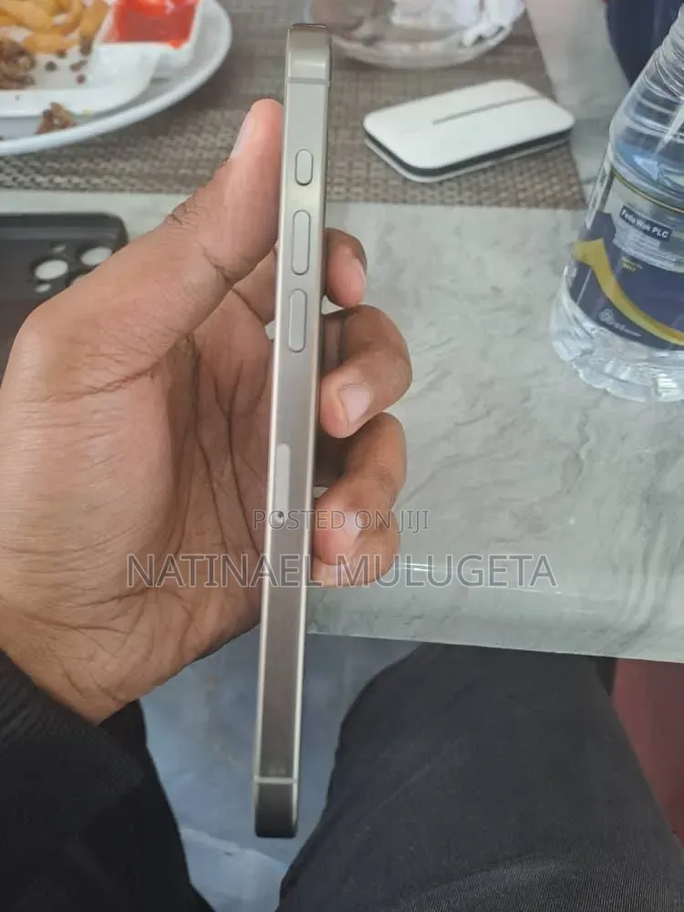 Apple iPhone 15 Pro Max 256 GB Silver