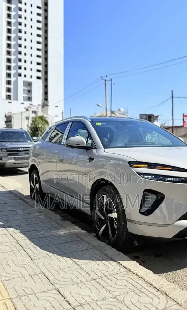 New BYD Sealion 06 EV 2025 Gray