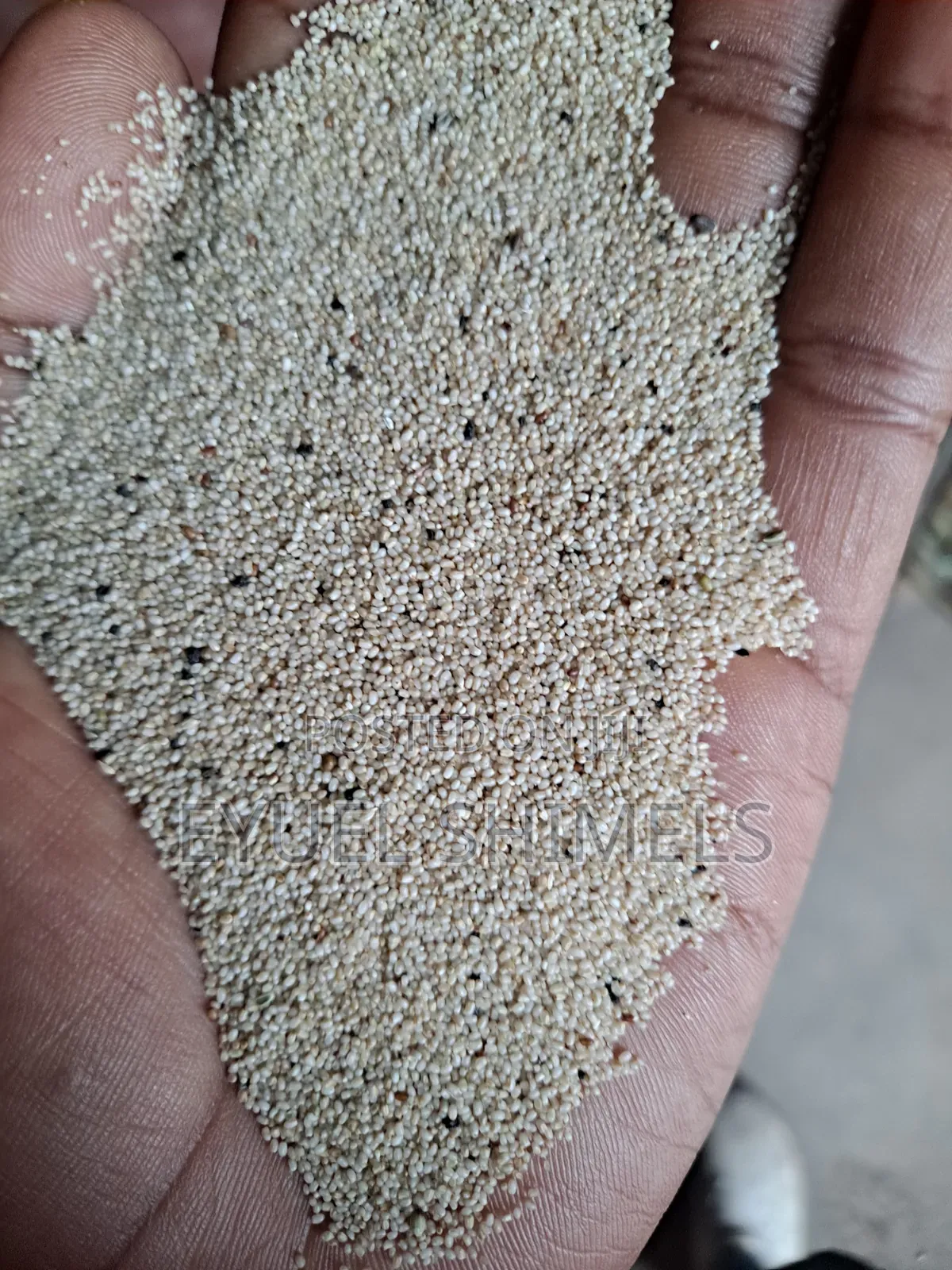 Teff Magna Teff Adea