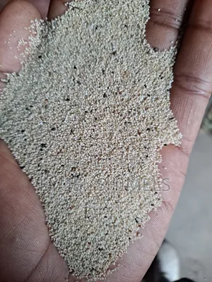 Teff Magna Teff Adea