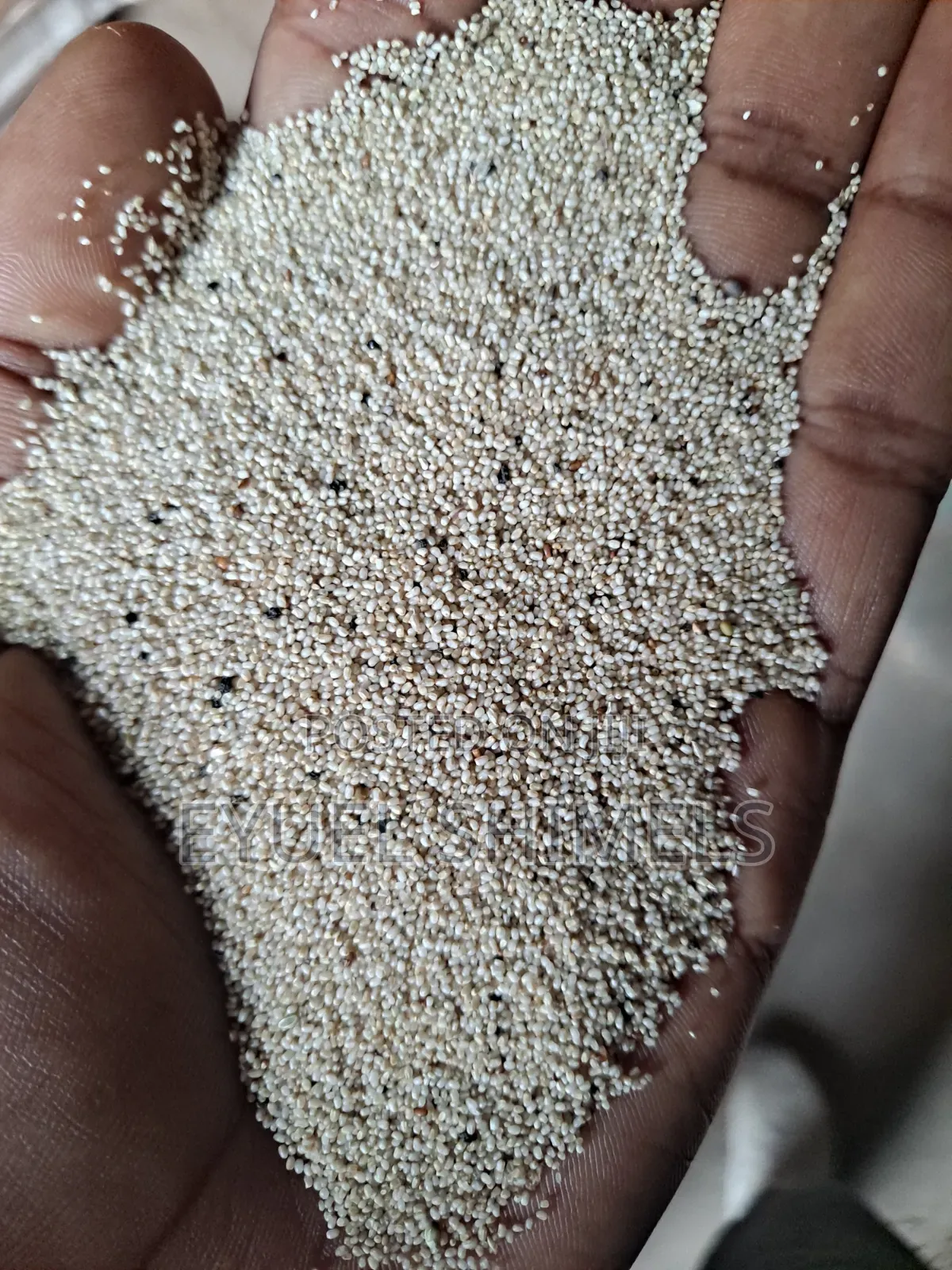 Teff Magna Teff Adea
