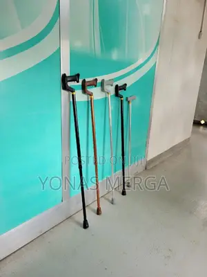 Handled Walking Stick栃炊Walking Stick With Compact Wrist Strap
