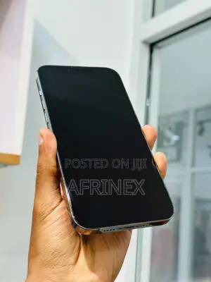 Apple iPhone 13 Pro Max 256 GB Gray