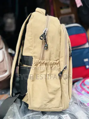 Student and Casual Bag