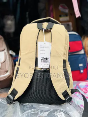 Student and Casual Bag