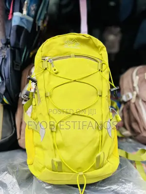 Traveling Bag
