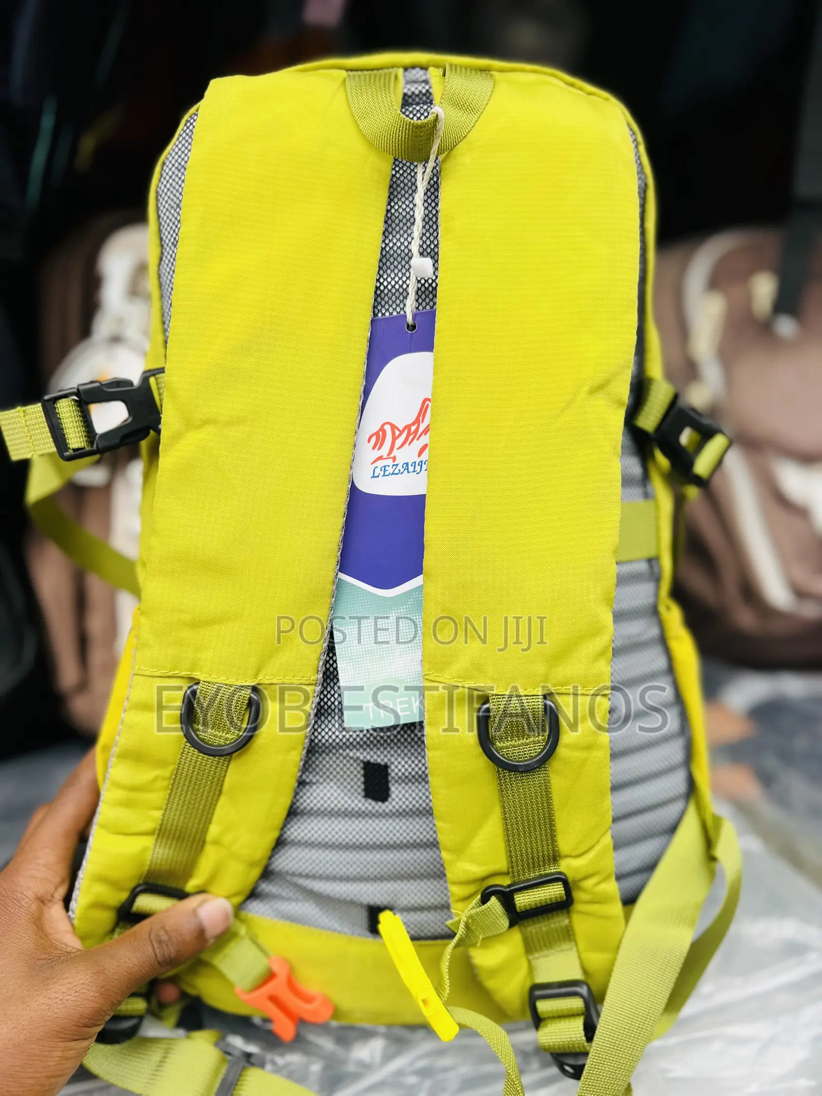 Traveling Bag