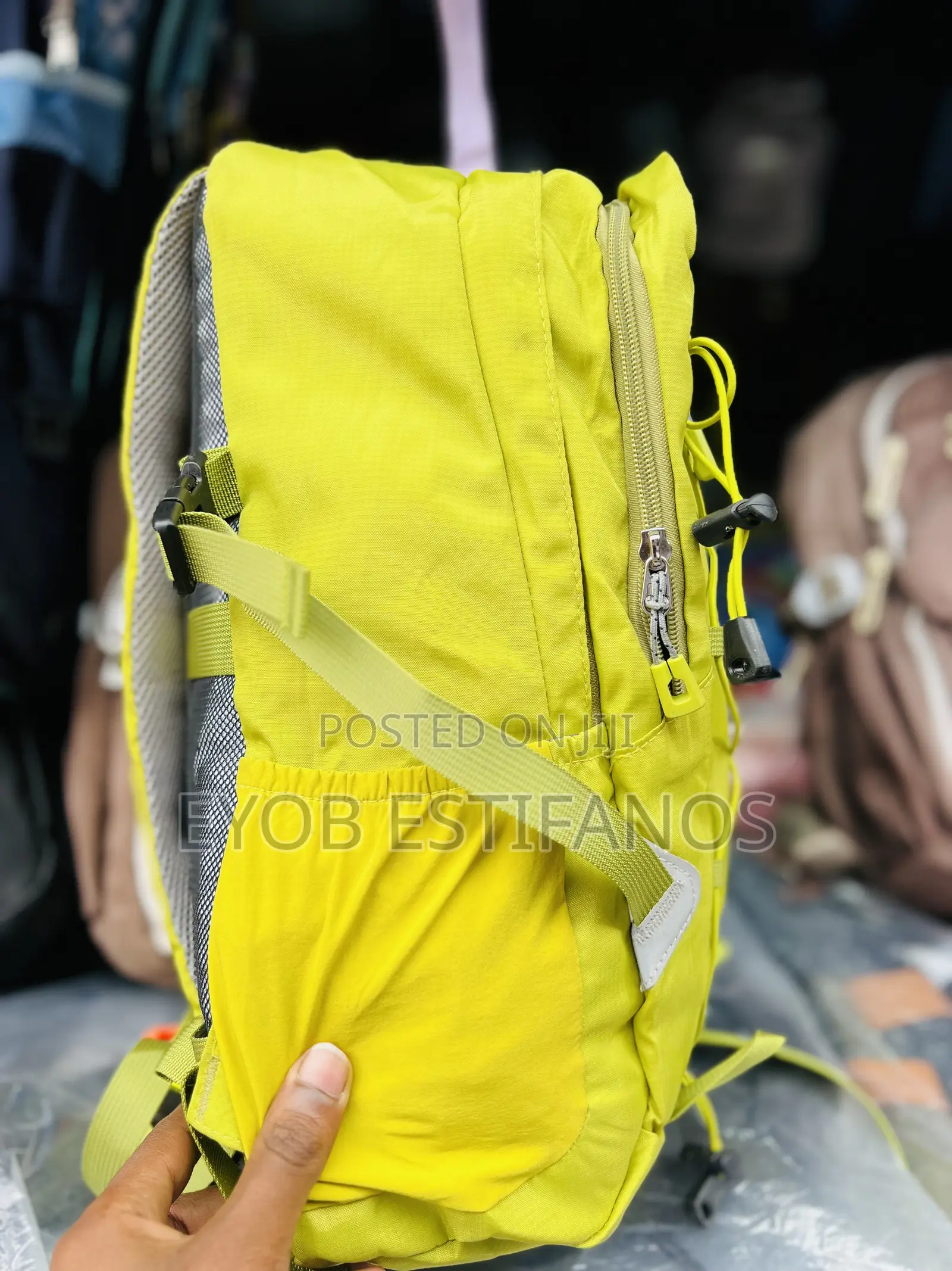 Traveling Bag