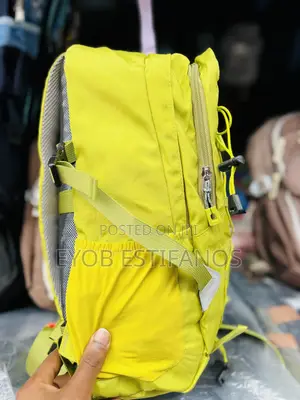 Traveling Bag