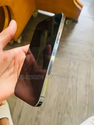 Apple iPhone 12 Pro 256 GB Black